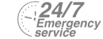 24/7 Emergency Service Pest Control in Heston, Osterley, TW5. Call Now! 020 8166 9746