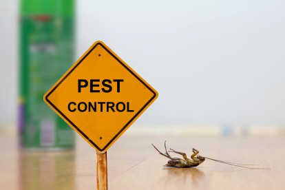 Pest Contol in Heston, Osterley, TW5. Call Now 020 8166 9746